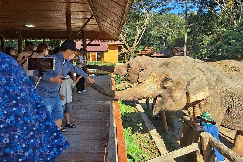 ดอยม่อนแจ่ม, ดอยหลวงเชียงดาว, ดอยอ่างขาง, ดอยอินทนนท์, ถนนคนเดินท่าแพ, ถนนคนเดินวัวลาย, ถนนช้างม่อยเก่า, ที่เที่ยวเชียงใหม่, ที่เที่ยวเชียงใหม่ 2024, ที่เที่ยวเชียงใหม่ 2567, ที่เที่ยวเชียงใหม่ อำเภอเมือง, ที่เที่ยวเมืองเชียงใหม่, นิมมาน, นิมมานเหมินทร์, บ้านป่าบงเปียง, ประตูท่าแพ, พระตำหนักภูพิงคราชนิเวศน์, ม่อนแจ่ม, วัดพระธาตุดอยสุเทพ, วัดพระสิงห์, วัดพระสิงห์ วรมหาวิหาร, วัดศรีสุพรรณ, วัดอุโมงค์ สวนพุทธธรรม, วัดอุโมงค์ เชียงใหม่, วัดเจดีย์หลวงวรวิหาร, สวนพฤกษศาสตร์สมเด็จพระนางเจ้าสิริกิติ์, สวนพฤกษศาสตร์เชียงใหม่, สวนสัตว์เชียงใหม่, ห้วยน้ำดัง, เชียงใหม่, เชียงใหม่ที่เที่ยว, เที่ยวเชียงใหม่, เที่ยวเชียงใหม่ 2024, เที่ยวเชียงใหม่ 2567, เมืองเชียงใหม่, แม่กำปอง, top 30+ ที่เที่ยวเชียงใหม่ อัปเดต [กรกฎาคม 2024] เที่ยวฟิน เคล้าลมหนาว