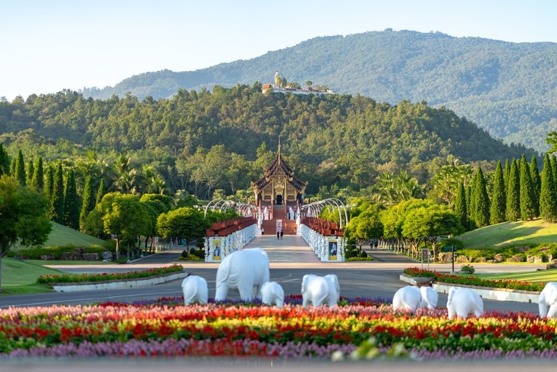 ดอยม่อนแจ่ม, ดอยหลวงเชียงดาว, ดอยอ่างขาง, ดอยอินทนนท์, ถนนคนเดินท่าแพ, ถนนคนเดินวัวลาย, ถนนช้างม่อยเก่า, ที่เที่ยวเชียงใหม่, ที่เที่ยวเชียงใหม่ 2024, ที่เที่ยวเชียงใหม่ 2567, ที่เที่ยวเชียงใหม่ อำเภอเมือง, ที่เที่ยวเมืองเชียงใหม่, นิมมาน, นิมมานเหมินทร์, บ้านป่าบงเปียง, ประตูท่าแพ, พระตำหนักภูพิงคราชนิเวศน์, ม่อนแจ่ม, วัดพระธาตุดอยสุเทพ, วัดพระสิงห์, วัดพระสิงห์ วรมหาวิหาร, วัดศรีสุพรรณ, วัดอุโมงค์ สวนพุทธธรรม, วัดอุโมงค์ เชียงใหม่, วัดเจดีย์หลวงวรวิหาร, สวนพฤกษศาสตร์สมเด็จพระนางเจ้าสิริกิติ์, สวนพฤกษศาสตร์เชียงใหม่, สวนสัตว์เชียงใหม่, ห้วยน้ำดัง, เชียงใหม่, เชียงใหม่ที่เที่ยว, เที่ยวเชียงใหม่, เที่ยวเชียงใหม่ 2024, เที่ยวเชียงใหม่ 2567, เมืองเชียงใหม่, แม่กำปอง, top 30+ ที่เที่ยวเชียงใหม่ อัปเดต [กรกฎาคม 2024] เที่ยวฟิน เคล้าลมหนาว