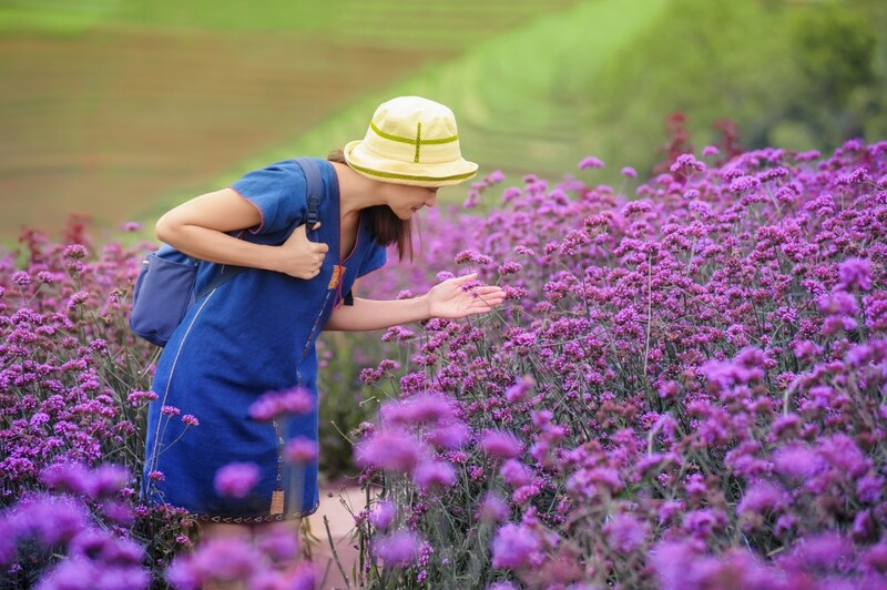 ดอยม่อนแจ่ม, ดอยหลวงเชียงดาว, ดอยอ่างขาง, ดอยอินทนนท์, ถนนคนเดินท่าแพ, ถนนคนเดินวัวลาย, ถนนช้างม่อยเก่า, ที่เที่ยวเชียงใหม่, ที่เที่ยวเชียงใหม่ 2024, ที่เที่ยวเชียงใหม่ 2567, ที่เที่ยวเชียงใหม่ อำเภอเมือง, ที่เที่ยวเมืองเชียงใหม่, นิมมาน, นิมมานเหมินทร์, บ้านป่าบงเปียง, ประตูท่าแพ, พระตำหนักภูพิงคราชนิเวศน์, ม่อนแจ่ม, วัดพระธาตุดอยสุเทพ, วัดพระสิงห์, วัดพระสิงห์ วรมหาวิหาร, วัดศรีสุพรรณ, วัดอุโมงค์ สวนพุทธธรรม, วัดอุโมงค์ เชียงใหม่, วัดเจดีย์หลวงวรวิหาร, สวนพฤกษศาสตร์สมเด็จพระนางเจ้าสิริกิติ์, สวนพฤกษศาสตร์เชียงใหม่, สวนสัตว์เชียงใหม่, ห้วยน้ำดัง, เชียงใหม่, เชียงใหม่ที่เที่ยว, เที่ยวเชียงใหม่, เที่ยวเชียงใหม่ 2024, เที่ยวเชียงใหม่ 2567, เมืองเชียงใหม่, แม่กำปอง, top 30+ ที่เที่ยวเชียงใหม่ อัปเดต [กรกฎาคม 2024] เที่ยวฟิน เคล้าลมหนาว