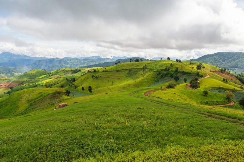 ดอยม่อนแจ่ม, ดอยหลวงเชียงดาว, ดอยอ่างขาง, ดอยอินทนนท์, ถนนคนเดินท่าแพ, ถนนคนเดินวัวลาย, ถนนช้างม่อยเก่า, ที่เที่ยวเชียงใหม่, ที่เที่ยวเชียงใหม่ 2024, ที่เที่ยวเชียงใหม่ 2567, ที่เที่ยวเชียงใหม่ อำเภอเมือง, ที่เที่ยวเมืองเชียงใหม่, นิมมาน, นิมมานเหมินทร์, บ้านป่าบงเปียง, ประตูท่าแพ, พระตำหนักภูพิงคราชนิเวศน์, ม่อนแจ่ม, วัดพระธาตุดอยสุเทพ, วัดพระสิงห์, วัดพระสิงห์ วรมหาวิหาร, วัดศรีสุพรรณ, วัดอุโมงค์ สวนพุทธธรรม, วัดอุโมงค์ เชียงใหม่, วัดเจดีย์หลวงวรวิหาร, สวนพฤกษศาสตร์สมเด็จพระนางเจ้าสิริกิติ์, สวนพฤกษศาสตร์เชียงใหม่, สวนสัตว์เชียงใหม่, ห้วยน้ำดัง, เชียงใหม่, เชียงใหม่ที่เที่ยว, เที่ยวเชียงใหม่, เที่ยวเชียงใหม่ 2024, เที่ยวเชียงใหม่ 2567, เมืองเชียงใหม่, แม่กำปอง, top 30+ ที่เที่ยวเชียงใหม่ อัปเดต [กรกฎาคม 2024] เที่ยวฟิน เคล้าลมหนาว