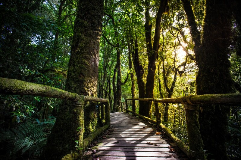 ดอยม่อนแจ่ม, ดอยหลวงเชียงดาว, ดอยอ่างขาง, ดอยอินทนนท์, ถนนคนเดินท่าแพ, ถนนคนเดินวัวลาย, ถนนช้างม่อยเก่า, ที่เที่ยวเชียงใหม่, ที่เที่ยวเชียงใหม่ 2024, ที่เที่ยวเชียงใหม่ 2567, ที่เที่ยวเชียงใหม่ อำเภอเมือง, ที่เที่ยวเมืองเชียงใหม่, นิมมาน, นิมมานเหมินทร์, บ้านป่าบงเปียง, ประตูท่าแพ, พระตำหนักภูพิงคราชนิเวศน์, ม่อนแจ่ม, วัดพระธาตุดอยสุเทพ, วัดพระสิงห์, วัดพระสิงห์ วรมหาวิหาร, วัดศรีสุพรรณ, วัดอุโมงค์ สวนพุทธธรรม, วัดอุโมงค์ เชียงใหม่, วัดเจดีย์หลวงวรวิหาร, สวนพฤกษศาสตร์สมเด็จพระนางเจ้าสิริกิติ์, สวนพฤกษศาสตร์เชียงใหม่, สวนสัตว์เชียงใหม่, ห้วยน้ำดัง, เชียงใหม่, เชียงใหม่ที่เที่ยว, เที่ยวเชียงใหม่, เที่ยวเชียงใหม่ 2024, เที่ยวเชียงใหม่ 2567, เมืองเชียงใหม่, แม่กำปอง, top 30+ ที่เที่ยวเชียงใหม่ อัปเดต [กรกฎาคม 2024] เที่ยวฟิน เคล้าลมหนาว