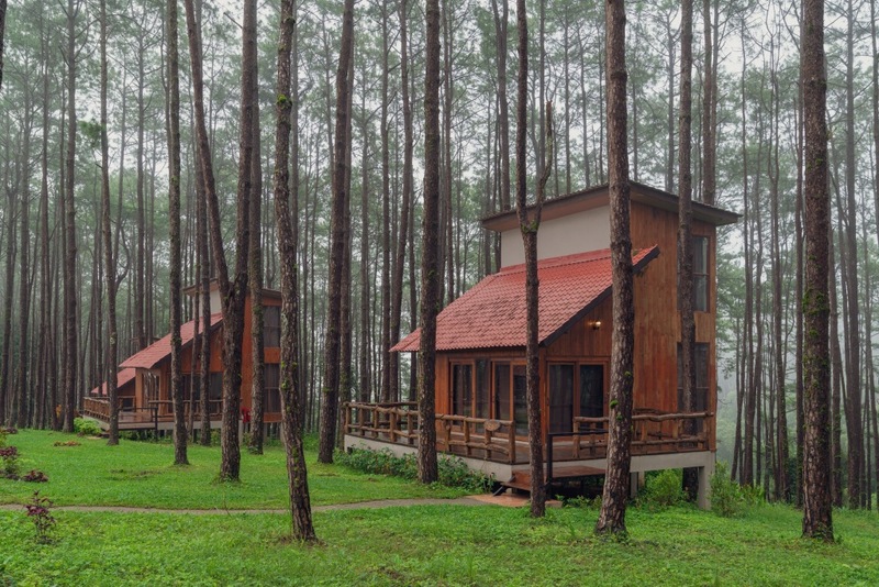 ดอยม่อนแจ่ม, ดอยหลวงเชียงดาว, ดอยอ่างขาง, ดอยอินทนนท์, ถนนคนเดินท่าแพ, ถนนคนเดินวัวลาย, ถนนช้างม่อยเก่า, ที่เที่ยวเชียงใหม่, ที่เที่ยวเชียงใหม่ 2024, ที่เที่ยวเชียงใหม่ 2567, ที่เที่ยวเชียงใหม่ อำเภอเมือง, ที่เที่ยวเมืองเชียงใหม่, นิมมาน, นิมมานเหมินทร์, บ้านป่าบงเปียง, ประตูท่าแพ, พระตำหนักภูพิงคราชนิเวศน์, ม่อนแจ่ม, วัดพระธาตุดอยสุเทพ, วัดพระสิงห์, วัดพระสิงห์ วรมหาวิหาร, วัดศรีสุพรรณ, วัดอุโมงค์ สวนพุทธธรรม, วัดอุโมงค์ เชียงใหม่, วัดเจดีย์หลวงวรวิหาร, สวนพฤกษศาสตร์สมเด็จพระนางเจ้าสิริกิติ์, สวนพฤกษศาสตร์เชียงใหม่, สวนสัตว์เชียงใหม่, ห้วยน้ำดัง, เชียงใหม่, เชียงใหม่ที่เที่ยว, เที่ยวเชียงใหม่, เที่ยวเชียงใหม่ 2024, เที่ยวเชียงใหม่ 2567, เมืองเชียงใหม่, แม่กำปอง, top 30+ ที่เที่ยวเชียงใหม่ อัปเดต [กรกฎาคม 2024] เที่ยวฟิน เคล้าลมหนาว