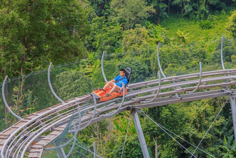 ดอยม่อนแจ่ม, ดอยหลวงเชียงดาว, ดอยอ่างขาง, ดอยอินทนนท์, ถนนคนเดินท่าแพ, ถนนคนเดินวัวลาย, ถนนช้างม่อยเก่า, ที่เที่ยวเชียงใหม่, ที่เที่ยวเชียงใหม่ 2024, ที่เที่ยวเชียงใหม่ 2567, ที่เที่ยวเชียงใหม่ อำเภอเมือง, ที่เที่ยวเมืองเชียงใหม่, นิมมาน, นิมมานเหมินทร์, บ้านป่าบงเปียง, ประตูท่าแพ, พระตำหนักภูพิงคราชนิเวศน์, ม่อนแจ่ม, วัดพระธาตุดอยสุเทพ, วัดพระสิงห์, วัดพระสิงห์ วรมหาวิหาร, วัดศรีสุพรรณ, วัดอุโมงค์ สวนพุทธธรรม, วัดอุโมงค์ เชียงใหม่, วัดเจดีย์หลวงวรวิหาร, สวนพฤกษศาสตร์สมเด็จพระนางเจ้าสิริกิติ์, สวนพฤกษศาสตร์เชียงใหม่, สวนสัตว์เชียงใหม่, ห้วยน้ำดัง, เชียงใหม่, เชียงใหม่ที่เที่ยว, เที่ยวเชียงใหม่, เที่ยวเชียงใหม่ 2024, เที่ยวเชียงใหม่ 2567, เมืองเชียงใหม่, แม่กำปอง, top 30+ ที่เที่ยวเชียงใหม่ อัปเดต [กรกฎาคม 2024] เที่ยวฟิน เคล้าลมหนาว