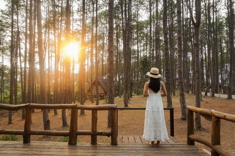 ดอยม่อนแจ่ม, ดอยหลวงเชียงดาว, ดอยอ่างขาง, ดอยอินทนนท์, ถนนคนเดินท่าแพ, ถนนคนเดินวัวลาย, ถนนช้างม่อยเก่า, ที่เที่ยวเชียงใหม่, ที่เที่ยวเชียงใหม่ 2024, ที่เที่ยวเชียงใหม่ 2567, ที่เที่ยวเชียงใหม่ อำเภอเมือง, ที่เที่ยวเมืองเชียงใหม่, นิมมาน, นิมมานเหมินทร์, บ้านป่าบงเปียง, ประตูท่าแพ, พระตำหนักภูพิงคราชนิเวศน์, ม่อนแจ่ม, วัดพระธาตุดอยสุเทพ, วัดพระสิงห์, วัดพระสิงห์ วรมหาวิหาร, วัดศรีสุพรรณ, วัดอุโมงค์ สวนพุทธธรรม, วัดอุโมงค์ เชียงใหม่, วัดเจดีย์หลวงวรวิหาร, สวนพฤกษศาสตร์สมเด็จพระนางเจ้าสิริกิติ์, สวนพฤกษศาสตร์เชียงใหม่, สวนสัตว์เชียงใหม่, ห้วยน้ำดัง, เชียงใหม่, เชียงใหม่ที่เที่ยว, เที่ยวเชียงใหม่, เที่ยวเชียงใหม่ 2024, เที่ยวเชียงใหม่ 2567, เมืองเชียงใหม่, แม่กำปอง, top 30+ ที่เที่ยวเชียงใหม่ อัปเดต [กรกฎาคม 2024] เที่ยวฟิน เคล้าลมหนาว