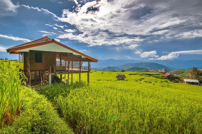 ดอยม่อนแจ่ม, ดอยหลวงเชียงดาว, ดอยอ่างขาง, ดอยอินทนนท์, ถนนคนเดินท่าแพ, ถนนคนเดินวัวลาย, ถนนช้างม่อยเก่า, ที่เที่ยวเชียงใหม่, ที่เที่ยวเชียงใหม่ 2024, ที่เที่ยวเชียงใหม่ 2567, ที่เที่ยวเชียงใหม่ อำเภอเมือง, ที่เที่ยวเมืองเชียงใหม่, นิมมาน, นิมมานเหมินทร์, บ้านป่าบงเปียง, ประตูท่าแพ, พระตำหนักภูพิงคราชนิเวศน์, ม่อนแจ่ม, วัดพระธาตุดอยสุเทพ, วัดพระสิงห์, วัดพระสิงห์ วรมหาวิหาร, วัดศรีสุพรรณ, วัดอุโมงค์ สวนพุทธธรรม, วัดอุโมงค์ เชียงใหม่, วัดเจดีย์หลวงวรวิหาร, สวนพฤกษศาสตร์สมเด็จพระนางเจ้าสิริกิติ์, สวนพฤกษศาสตร์เชียงใหม่, สวนสัตว์เชียงใหม่, ห้วยน้ำดัง, เชียงใหม่, เชียงใหม่ที่เที่ยว, เที่ยวเชียงใหม่, เที่ยวเชียงใหม่ 2024, เที่ยวเชียงใหม่ 2567, เมืองเชียงใหม่, แม่กำปอง, top 30+ ที่เที่ยวเชียงใหม่ อัปเดต [กรกฎาคม 2024] เที่ยวฟิน เคล้าลมหนาว