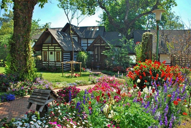 ดอยม่อนแจ่ม, ดอยหลวงเชียงดาว, ดอยอ่างขาง, ดอยอินทนนท์, ถนนคนเดินท่าแพ, ถนนคนเดินวัวลาย, ถนนช้างม่อยเก่า, ที่เที่ยวเชียงใหม่, ที่เที่ยวเชียงใหม่ 2024, ที่เที่ยวเชียงใหม่ 2567, ที่เที่ยวเชียงใหม่ อำเภอเมือง, ที่เที่ยวเมืองเชียงใหม่, นิมมาน, นิมมานเหมินทร์, บ้านป่าบงเปียง, ประตูท่าแพ, พระตำหนักภูพิงคราชนิเวศน์, ม่อนแจ่ม, วัดพระธาตุดอยสุเทพ, วัดพระสิงห์, วัดพระสิงห์ วรมหาวิหาร, วัดศรีสุพรรณ, วัดอุโมงค์ สวนพุทธธรรม, วัดอุโมงค์ เชียงใหม่, วัดเจดีย์หลวงวรวิหาร, สวนพฤกษศาสตร์สมเด็จพระนางเจ้าสิริกิติ์, สวนพฤกษศาสตร์เชียงใหม่, สวนสัตว์เชียงใหม่, ห้วยน้ำดัง, เชียงใหม่, เชียงใหม่ที่เที่ยว, เที่ยวเชียงใหม่, เที่ยวเชียงใหม่ 2024, เที่ยวเชียงใหม่ 2567, เมืองเชียงใหม่, แม่กำปอง, top 30+ ที่เที่ยวเชียงใหม่ อัปเดต [กรกฎาคม 2024] เที่ยวฟิน เคล้าลมหนาว