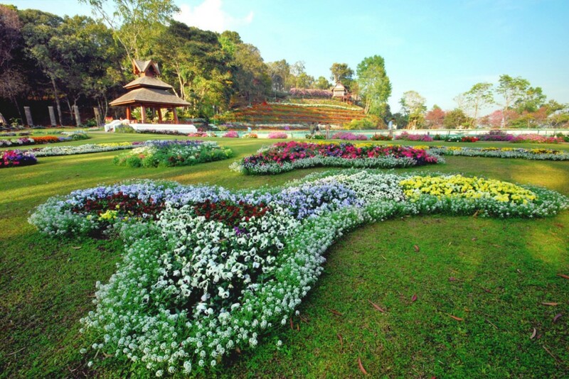 ดอยม่อนแจ่ม, ดอยหลวงเชียงดาว, ดอยอ่างขาง, ดอยอินทนนท์, ถนนคนเดินท่าแพ, ถนนคนเดินวัวลาย, ถนนช้างม่อยเก่า, ที่เที่ยวเชียงใหม่, ที่เที่ยวเชียงใหม่ 2024, ที่เที่ยวเชียงใหม่ 2567, ที่เที่ยวเชียงใหม่ อำเภอเมือง, ที่เที่ยวเมืองเชียงใหม่, นิมมาน, นิมมานเหมินทร์, บ้านป่าบงเปียง, ประตูท่าแพ, พระตำหนักภูพิงคราชนิเวศน์, ม่อนแจ่ม, วัดพระธาตุดอยสุเทพ, วัดพระสิงห์, วัดพระสิงห์ วรมหาวิหาร, วัดศรีสุพรรณ, วัดอุโมงค์ สวนพุทธธรรม, วัดอุโมงค์ เชียงใหม่, วัดเจดีย์หลวงวรวิหาร, สวนพฤกษศาสตร์สมเด็จพระนางเจ้าสิริกิติ์, สวนพฤกษศาสตร์เชียงใหม่, สวนสัตว์เชียงใหม่, ห้วยน้ำดัง, เชียงใหม่, เชียงใหม่ที่เที่ยว, เที่ยวเชียงใหม่, เที่ยวเชียงใหม่ 2024, เที่ยวเชียงใหม่ 2567, เมืองเชียงใหม่, แม่กำปอง, top 30+ ที่เที่ยวเชียงใหม่ อัปเดต [กรกฎาคม 2024] เที่ยวฟิน เคล้าลมหนาว