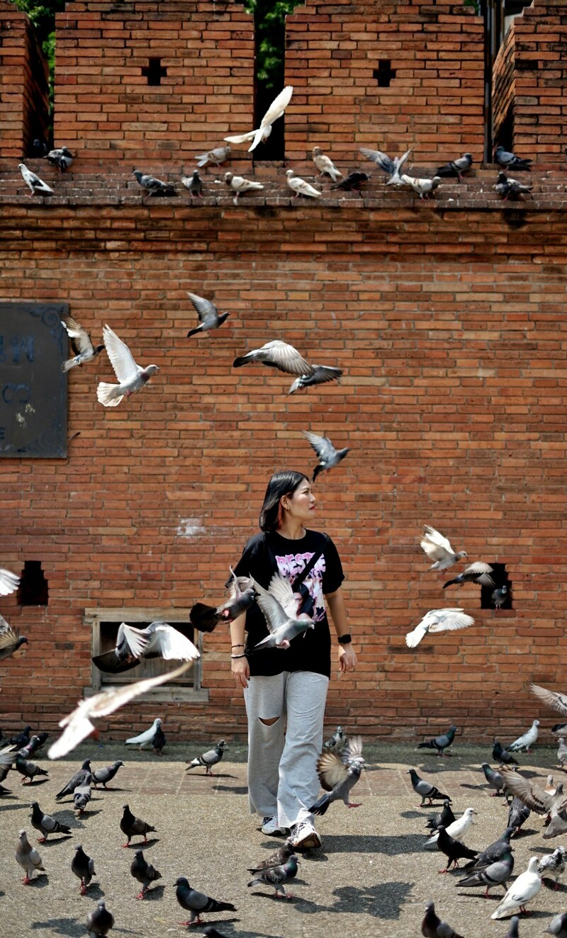 ดอยม่อนแจ่ม, ดอยหลวงเชียงดาว, ดอยอ่างขาง, ดอยอินทนนท์, ถนนคนเดินท่าแพ, ถนนคนเดินวัวลาย, ถนนช้างม่อยเก่า, ที่เที่ยวเชียงใหม่, ที่เที่ยวเชียงใหม่ 2024, ที่เที่ยวเชียงใหม่ 2567, ที่เที่ยวเชียงใหม่ อำเภอเมือง, ที่เที่ยวเมืองเชียงใหม่, นิมมาน, นิมมานเหมินทร์, บ้านป่าบงเปียง, ประตูท่าแพ, พระตำหนักภูพิงคราชนิเวศน์, ม่อนแจ่ม, วัดพระธาตุดอยสุเทพ, วัดพระสิงห์, วัดพระสิงห์ วรมหาวิหาร, วัดศรีสุพรรณ, วัดอุโมงค์ สวนพุทธธรรม, วัดอุโมงค์ เชียงใหม่, วัดเจดีย์หลวงวรวิหาร, สวนพฤกษศาสตร์สมเด็จพระนางเจ้าสิริกิติ์, สวนพฤกษศาสตร์เชียงใหม่, สวนสัตว์เชียงใหม่, ห้วยน้ำดัง, เชียงใหม่, เชียงใหม่ที่เที่ยว, เที่ยวเชียงใหม่, เที่ยวเชียงใหม่ 2024, เที่ยวเชียงใหม่ 2567, เมืองเชียงใหม่, แม่กำปอง, top 30+ ที่เที่ยวเชียงใหม่ อัปเดต [กรกฎาคม 2024] เที่ยวฟิน เคล้าลมหนาว