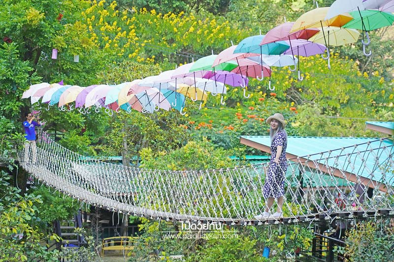 คาเฟ่ม่อนแจ่ม, ฮิมน้ำแม่จะ, คาเเฟ่แม่ริม, ร้านกาแฟม่อนแจ่ม, ฮิมน้ำแม่จะ คาเฟ่น่ารักสีสันสดใส