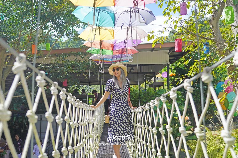 คาเฟ่ม่อนแจ่ม, ฮิมน้ำแม่จะ, คาเเฟ่แม่ริม, ร้านกาแฟม่อนแจ่ม, ฮิมน้ำแม่จะ คาเฟ่น่ารักสีสันสดใส