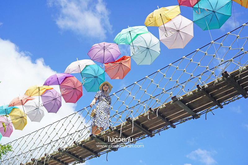 คาเฟ่ม่อนแจ่ม, ฮิมน้ำแม่จะ, คาเเฟ่แม่ริม, ร้านกาแฟม่อนแจ่ม, ฮิมน้ำแม่จะ คาเฟ่น่ารักสีสันสดใส