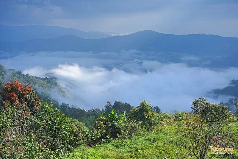 ดอยม่อนเงาะ, เที่ยวแม่แตง, จูเลี๊ยะแคมป์, จูเลี๊ยะแคมป์ ม่อนเงาะ ที่พักวิวเขา ชมหมอกสวยจากหน้าบ้าน