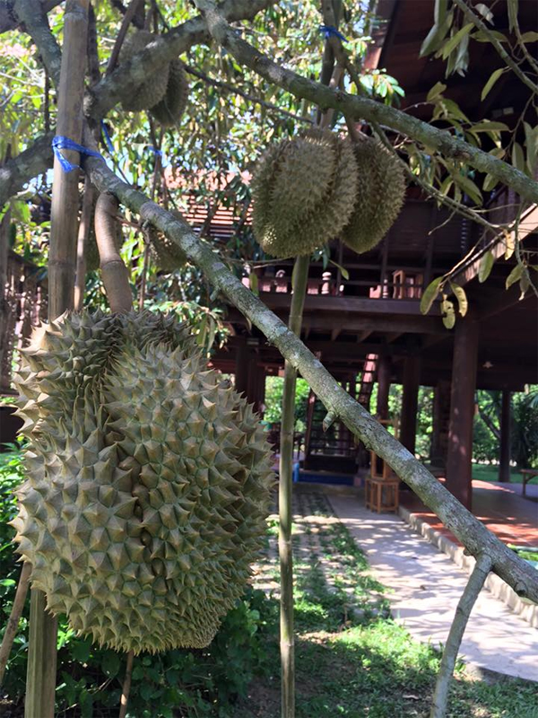 top 7+ ที่พักแก่งกระจาน ที่พักริมแม่น้ำ พร้อมกิจกรรมทางน้ำสุดมันส์