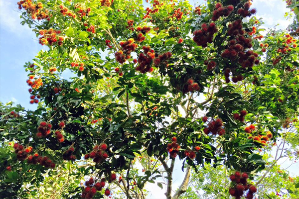 top 7+ ที่พักแก่งกระจาน ที่พักริมแม่น้ำ พร้อมกิจกรรมทางน้ำสุดมันส์