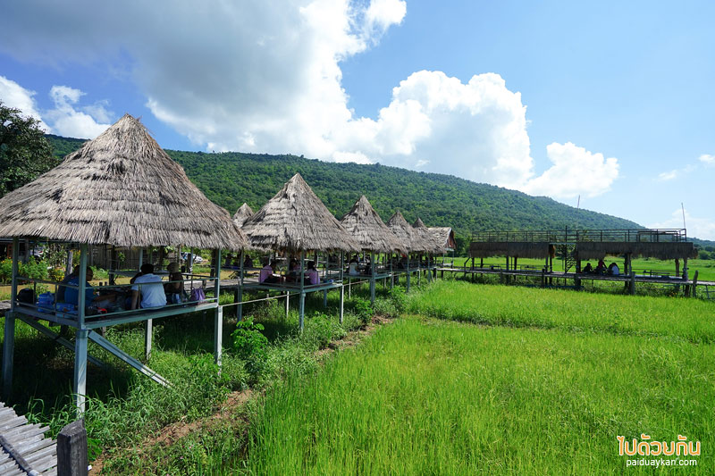 คาเฟ่ขอนแก่น, ร้านอาหารขอนแก่น, บ้านนอกคอกควาย  ขอนแก่น, บ้านนอกคอกควาย ร้านอาหารและบรรยากาศดีกลางทุ่งนา