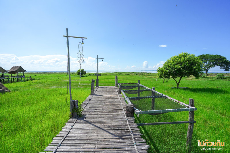 คาเฟ่ขอนแก่น, ร้านอาหารขอนแก่น, บ้านนอกคอกควาย  ขอนแก่น, บ้านนอกคอกควาย ร้านอาหารและบรรยากาศดีกลางทุ่งนา