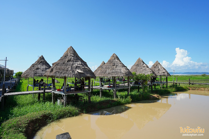 คาเฟ่ขอนแก่น, ร้านอาหารขอนแก่น, บ้านนอกคอกควาย  ขอนแก่น, บ้านนอกคอกควาย ร้านอาหารและบรรยากาศดีกลางทุ่งนา