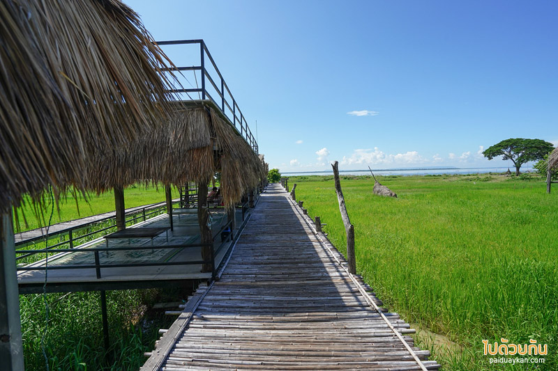 คาเฟ่ขอนแก่น, ร้านอาหารขอนแก่น, บ้านนอกคอกควาย  ขอนแก่น, บ้านนอกคอกควาย ร้านอาหารและบรรยากาศดีกลางทุ่งนา