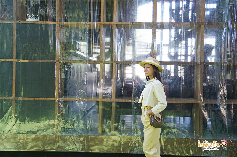 ร้านอาหารอยุธยา, คาเฟ่อยุธยา, ร้านกุ้งแม่น้ำอยุธยา, the wine ayudhya, the wine ayudhya  ร้านอาหารสุดล้ำ แปลกตา กุ้งเผาอร่อย