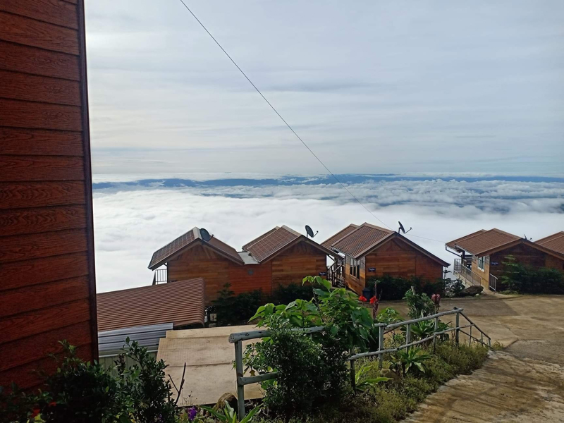 top 15+ ที่พักภูทับเบิก 2567 ที่พักวิวทะเลหมอก มีหมูกระทะ อัปเดตใหม่ล่าสุด