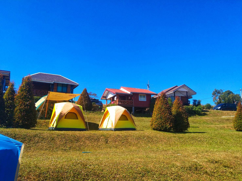 top 15+ ที่พักภูทับเบิก 2567 ที่พักวิวทะเลหมอก มีหมูกระทะ อัปเดตใหม่ล่าสุด