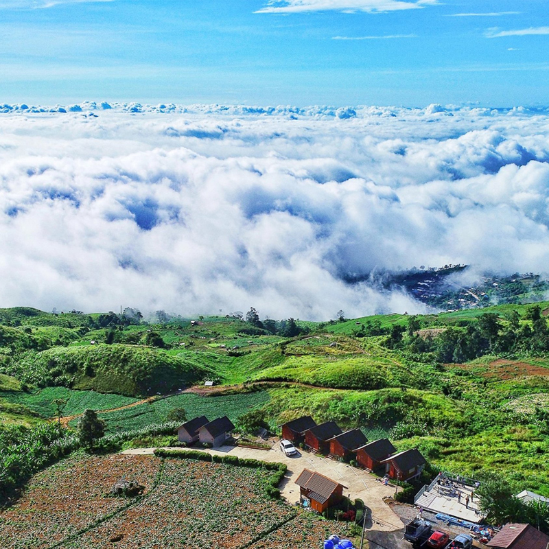 top 15+ ที่พักภูทับเบิก 2567 ที่พักวิวทะเลหมอก มีหมูกระทะ อัปเดตใหม่ล่าสุด