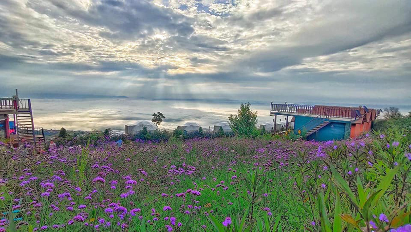 top 15+ ที่พักภูทับเบิก 2567 ที่พักวิวทะเลหมอก มีหมูกระทะ อัปเดตใหม่ล่าสุด