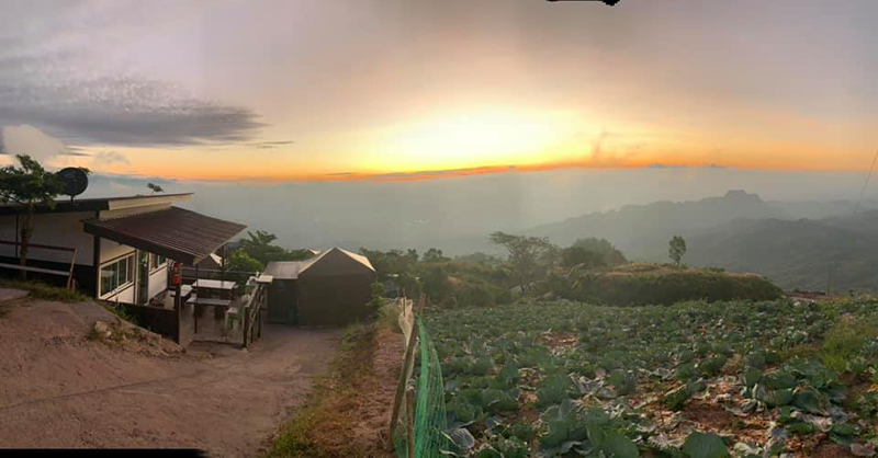 top 15+ ที่พักภูทับเบิก 2567 ที่พักวิวทะเลหมอก มีหมูกระทะ อัปเดตใหม่ล่าสุด