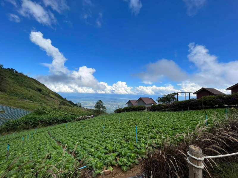 top 15+ ที่พักภูทับเบิก 2567 ที่พักวิวทะเลหมอก มีหมูกระทะ อัปเดตใหม่ล่าสุด