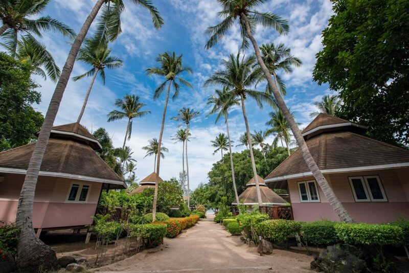 top 6+ ที่พักเกาะเต่า 2567 ที่พักติดทะเลวิวสวย น้ำใส