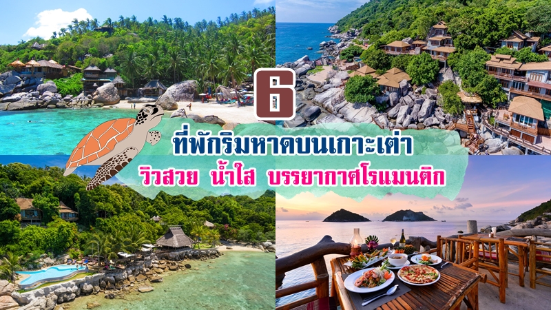 top 6+ ที่พักเกาะเต่า 2567 ที่พักติดทะเลวิวสวย น้ำใส