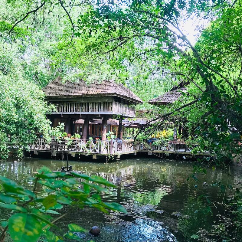 top 31+ ร้านอาหารเชียงใหม่ & คาเฟ่ 2567 : ร้านดังเชียงใหม่ ระวังพลาดถ้าไม่มาลอง