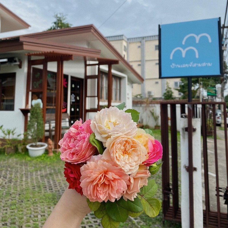 top 31+ ร้านอาหารเชียงใหม่ & คาเฟ่ 2567 : ร้านดังเชียงใหม่ ระวังพลาดถ้าไม่มาลอง