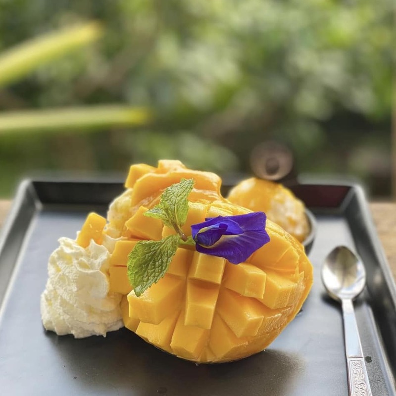 top 31+ ร้านอาหารเชียงใหม่ & คาเฟ่ 2567 : ร้านดังเชียงใหม่ ระวังพลาดถ้าไม่มาลอง