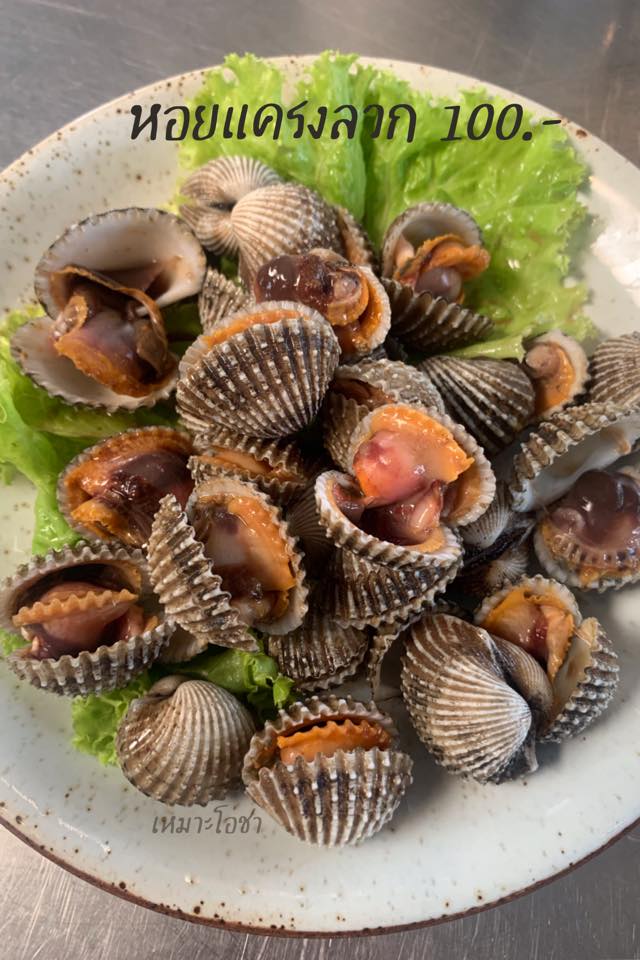 top 31+ ร้านอาหารเชียงใหม่ & คาเฟ่ 2567 : ร้านดังเชียงใหม่ ระวังพลาดถ้าไม่มาลอง