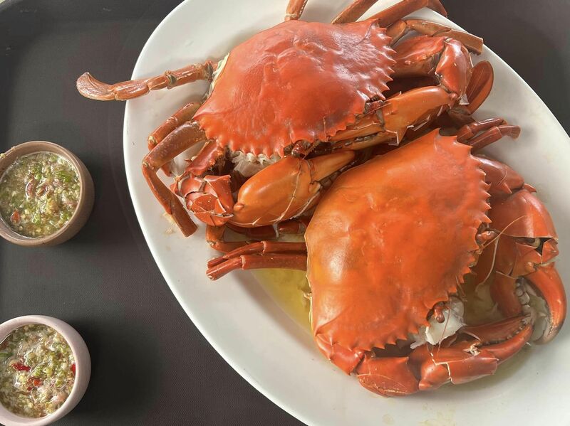 top 31+ ร้านอาหารเชียงใหม่ & คาเฟ่ 2567 : ร้านดังเชียงใหม่ ระวังพลาดถ้าไม่มาลอง