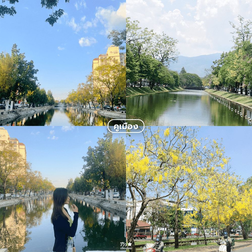 brewginning coffee, ช้างม่อย, ถนนคนเดินท่าแพ, ประตูท่าแพ, มากาด คาเฟ่, เที่ยวท่าแพ, เที่ยวเชียงใหม่, 1 day trip เที่ยวท่าแพ – ช้างม่อย เชียงใหม่ วันเดียวเที่ยวไหนได้