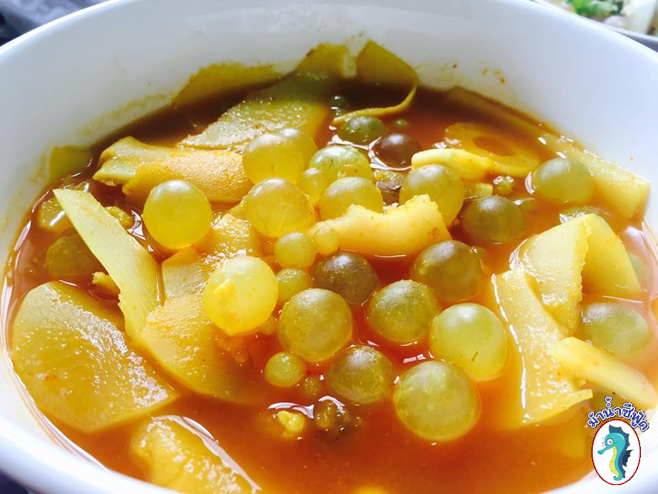 รวม 9 ร้านอาหารและเครื่องดื่ม delivery คัดมาแล้วว่าเด็ด พร้อมอิ่มง่ายๆ แค่ยกหูโทรสั่ง