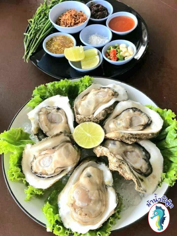 รวม 9 ร้านอาหารและเครื่องดื่ม delivery คัดมาแล้วว่าเด็ด พร้อมอิ่มง่ายๆ แค่ยกหูโทรสั่ง