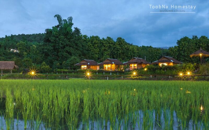 top 7+ ที่พักวิวทุ่งนากลางไร่สวน บรรยากาศดี เที่ยวได้ทั้งปีไม่มีเบื่อ