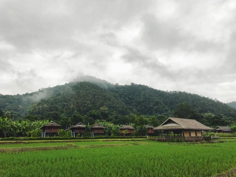 top 7+ ที่พักวิวทุ่งนากลางไร่สวน บรรยากาศดี เที่ยวได้ทั้งปีไม่มีเบื่อ