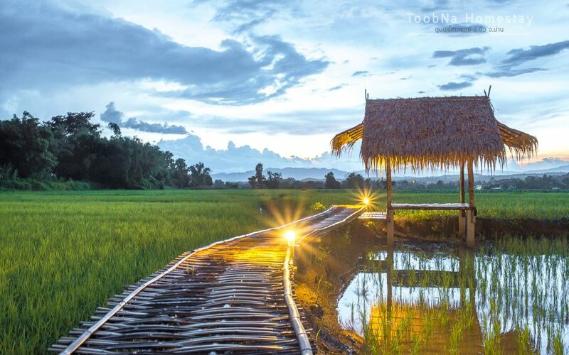 top 7+ ที่พักวิวทุ่งนากลางไร่สวน บรรยากาศดี เที่ยวได้ทั้งปีไม่มีเบื่อ