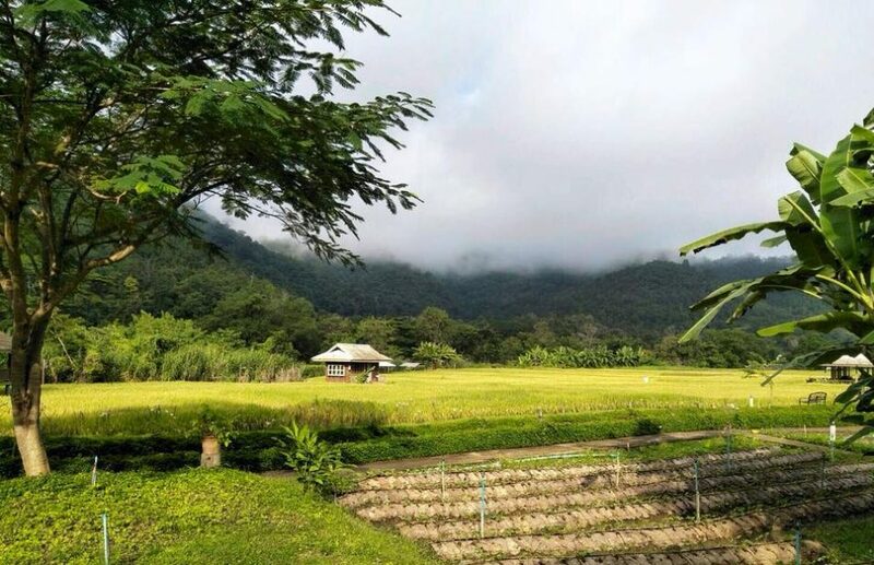 top 7+ ที่พักวิวทุ่งนากลางไร่สวน บรรยากาศดี เที่ยวได้ทั้งปีไม่มีเบื่อ