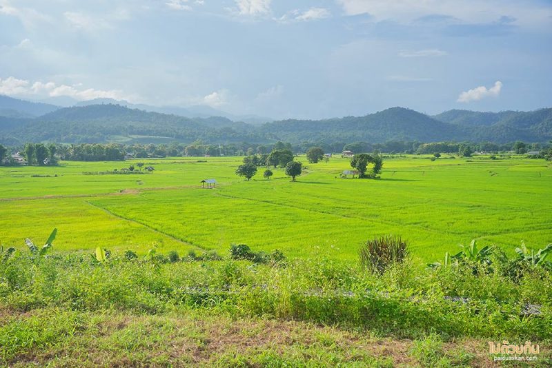 เมืองคอง, ที่พักเมืองคอง, เถียงนา ฟาร์มสเตย์, เถียงนา ฟาร์มสเตย์ เมืองคอง ที่พักหลักร้อย ชมวิวทุ่งนากว้าง