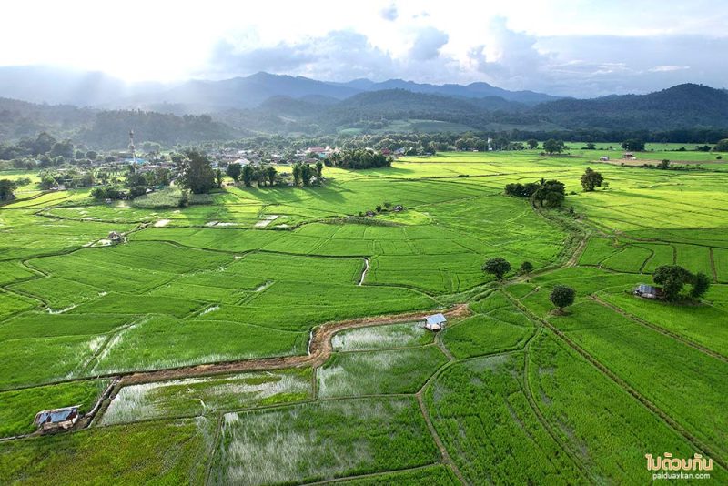 เมืองคอง, ที่พักเมืองคอง, เถียงนา ฟาร์มสเตย์, เถียงนา ฟาร์มสเตย์ เมืองคอง ที่พักหลักร้อย ชมวิวทุ่งนากว้าง