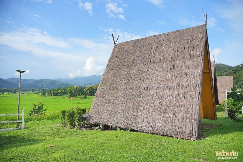 เมืองคอง, ที่พักเมืองคอง, เถียงนา ฟาร์มสเตย์, เถียงนา ฟาร์มสเตย์ เมืองคอง ที่พักหลักร้อย ชมวิวทุ่งนากว้าง