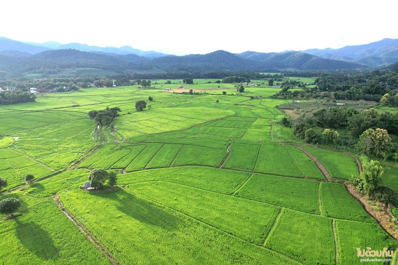 เมืองคอง, ที่พักเมืองคอง, เถียงนา ฟาร์มสเตย์, เถียงนา ฟาร์มสเตย์ เมืองคอง ที่พักหลักร้อย ชมวิวทุ่งนากว้าง