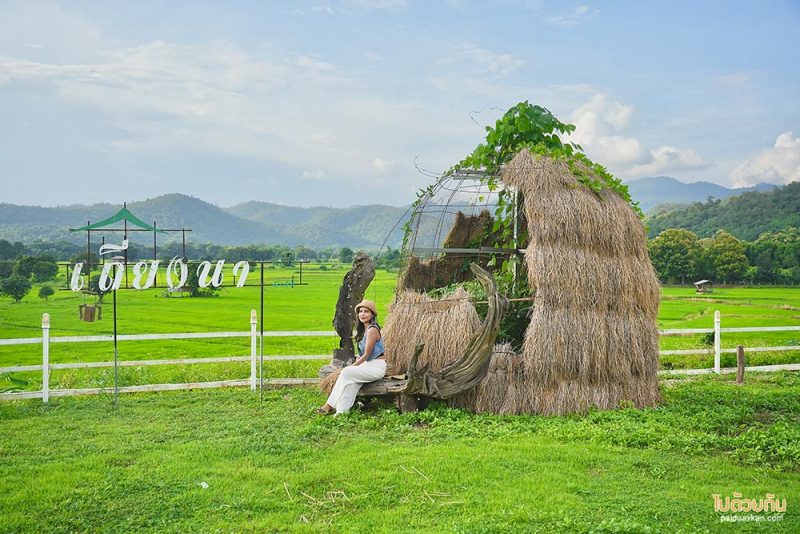 เมืองคอง, ที่พักเมืองคอง, เถียงนา ฟาร์มสเตย์, เถียงนา ฟาร์มสเตย์ เมืองคอง ที่พักหลักร้อย ชมวิวทุ่งนากว้าง