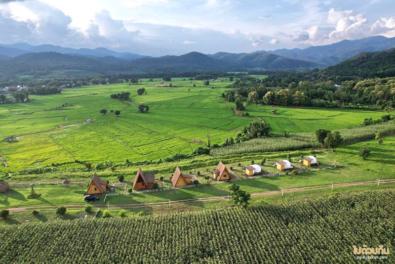 เมืองคอง, ที่พักเมืองคอง, เถียงนา ฟาร์มสเตย์, เถียงนา ฟาร์มสเตย์ เมืองคอง ที่พักหลักร้อย ชมวิวทุ่งนากว้าง