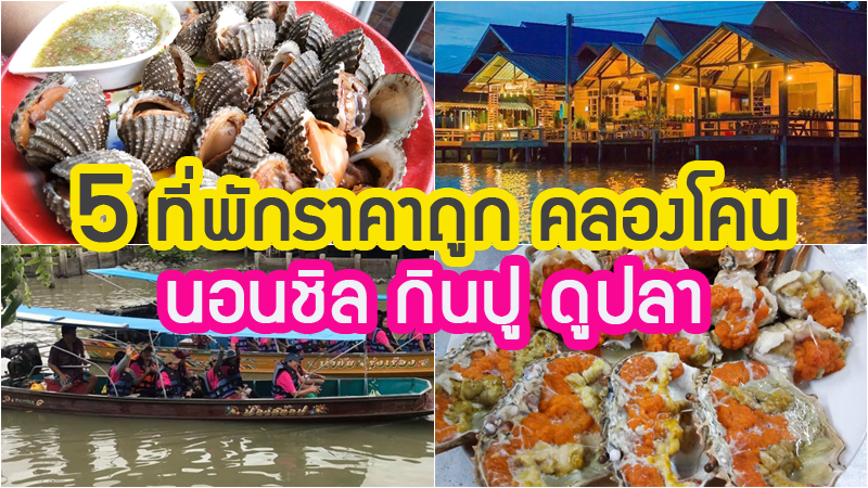 top 5+ โฮมสเตย์คลองโคน 2567 ที่พักสมุทรสงคราม อาหารทะเลสดๆ